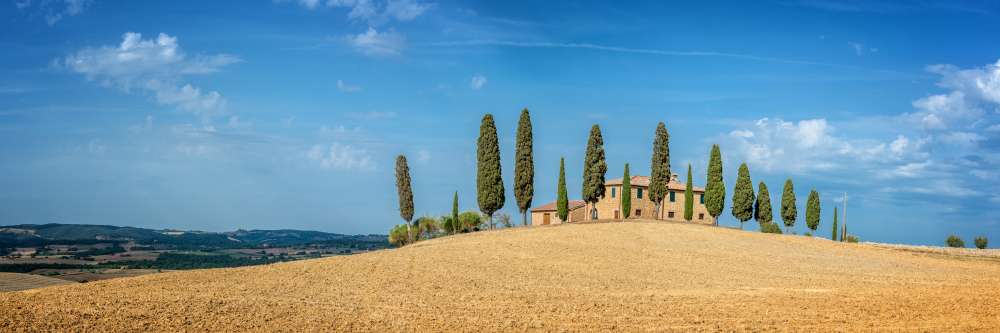 Zypressen sind typisch für das Landschaftsbild der Toskana