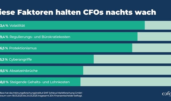 CFO-Studie: Das hält Finanzentscheider nachts wach
